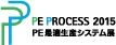 PE PROCESS 2015