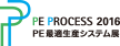 PE PROCESS 2016