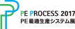 PE PROCESS 2017