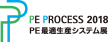 PE PROCESS 2018