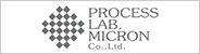 PROCESS LAB. MICRON